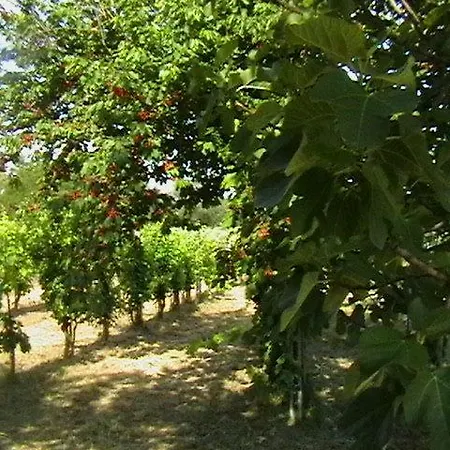 Il Casale Della Quercia