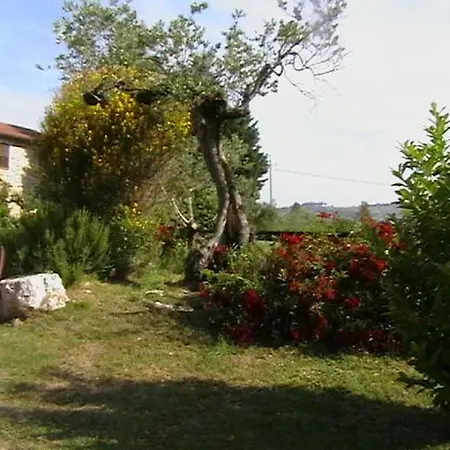 Il Casale Della Quercia בית חווה אסיסי