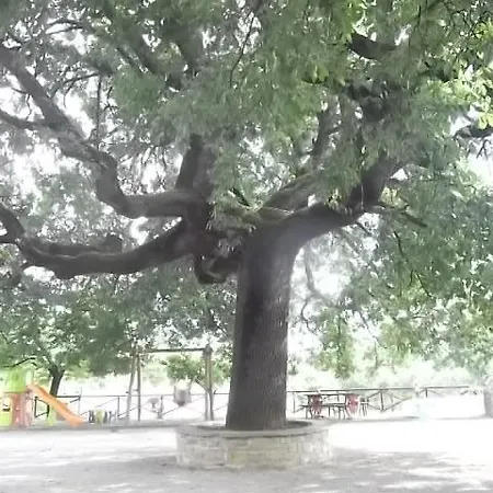 Il Casale Della Quercia Farma Assisi