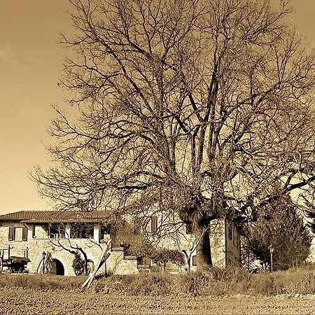 Il Casale Della Quercia 아시시
