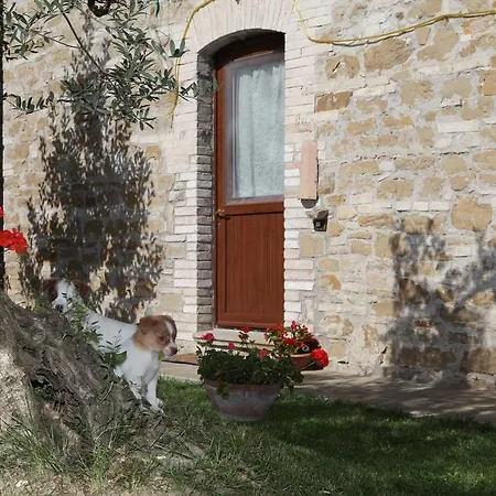 בית חווה Il Casale Della Quercia *