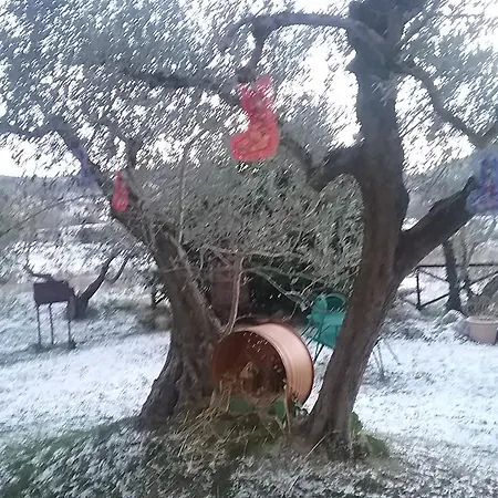 Il Casale Della Quercia Gospodarstwo agroturystyczne *