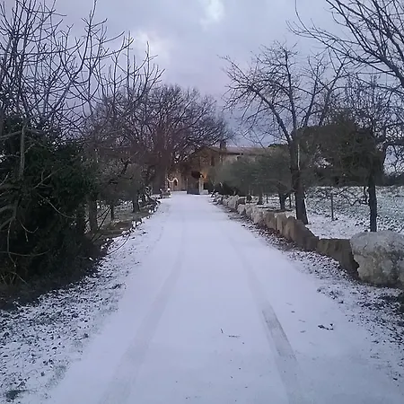 Il Casale Della Quercia * אסיסי