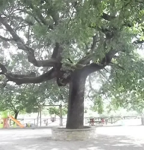 Il Casale Della Quercia Farm stay Assisi