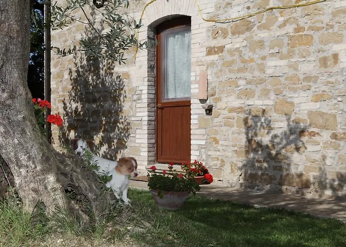 Farm stay Il Casale Della Quercia *